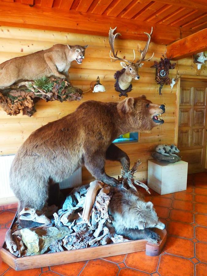 Pension Grizzly Ludvikov Exterior photo